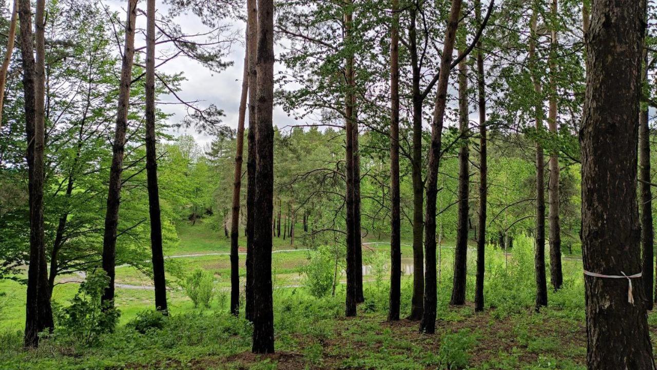 Green Village Mykolaivka  المظهر الخارجي الصورة